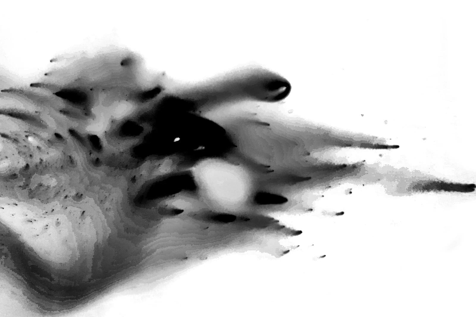 Bird Lena Weiss