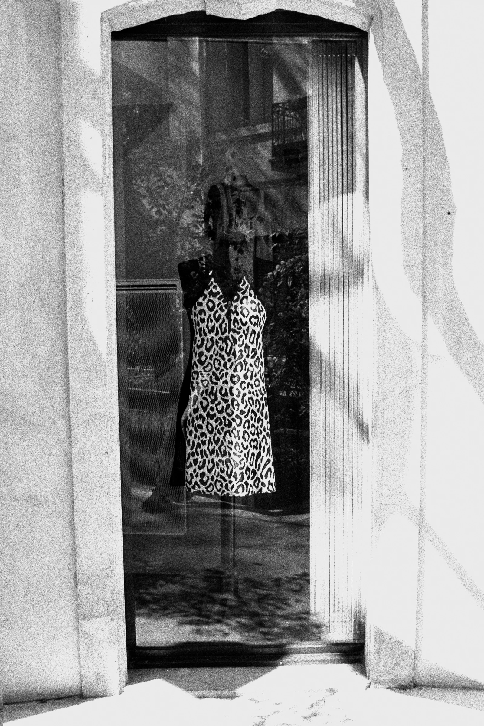 Leo- Dress