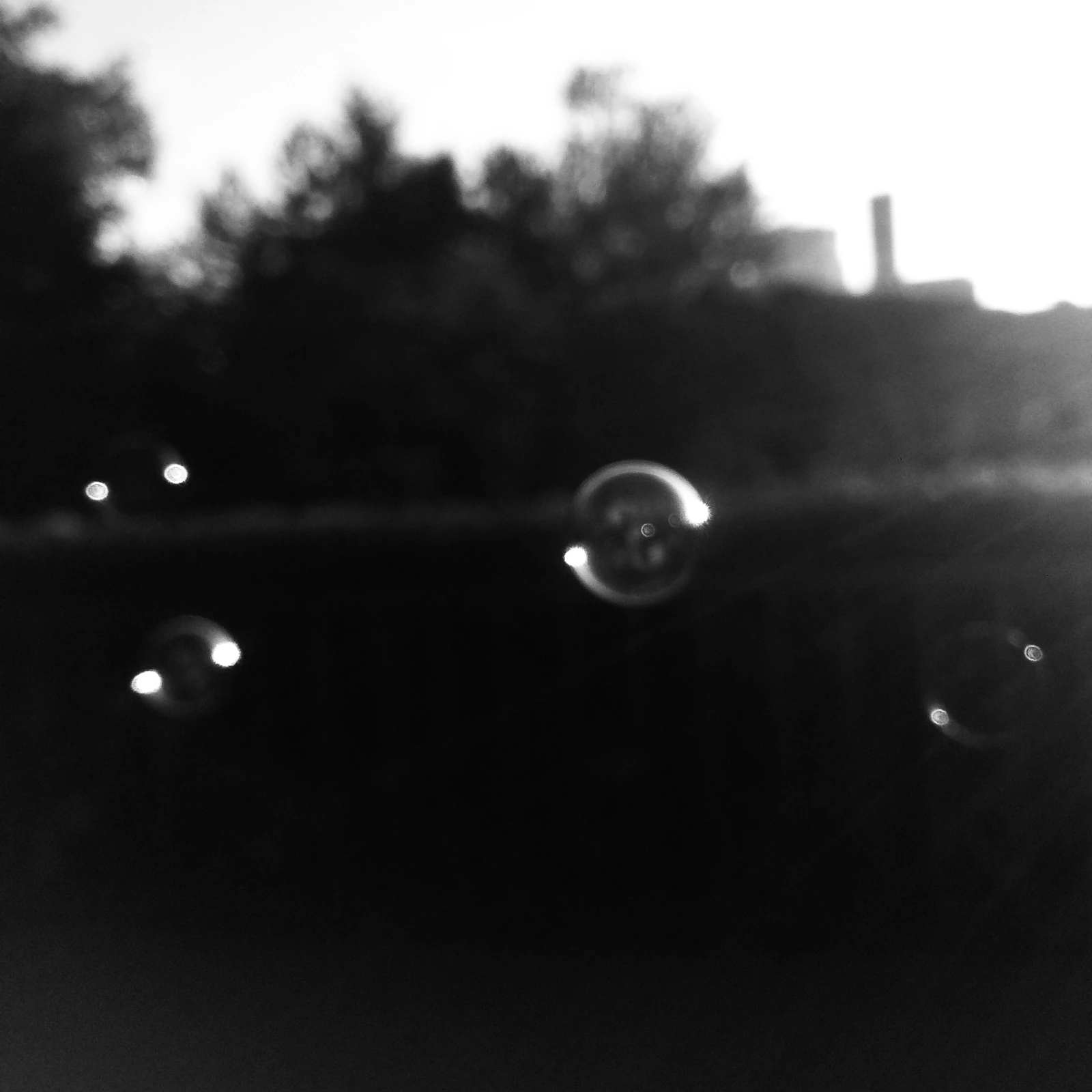 soap bubble