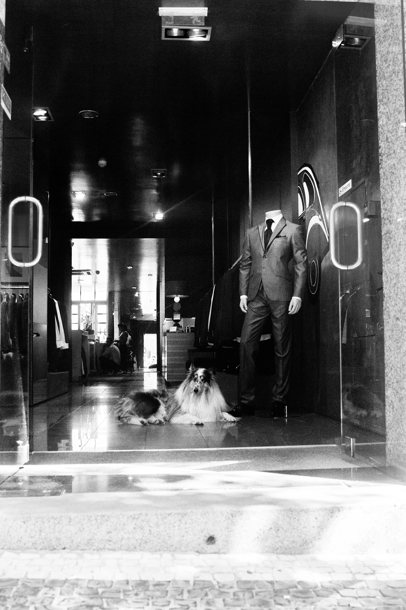 portugal_dog_store by Elena Weiss
