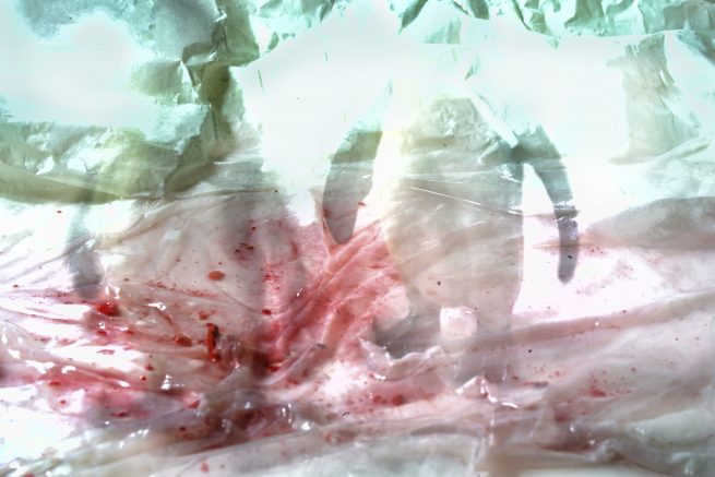 action-photography-penguin_2