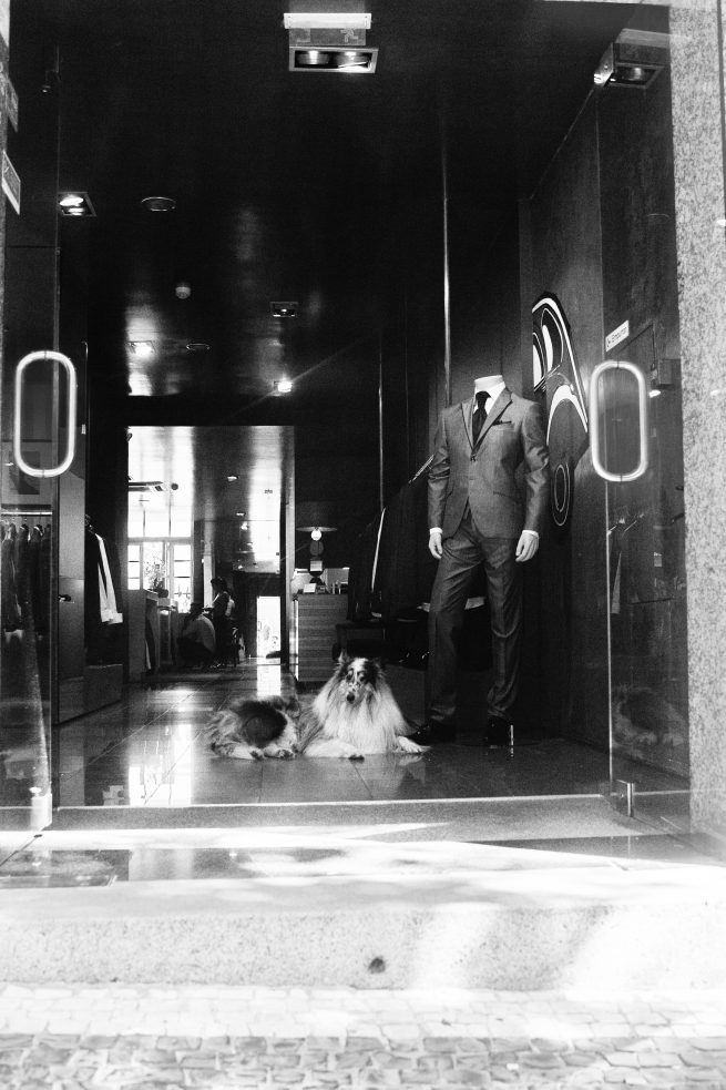 portugal_dog_store by Elena Weiss